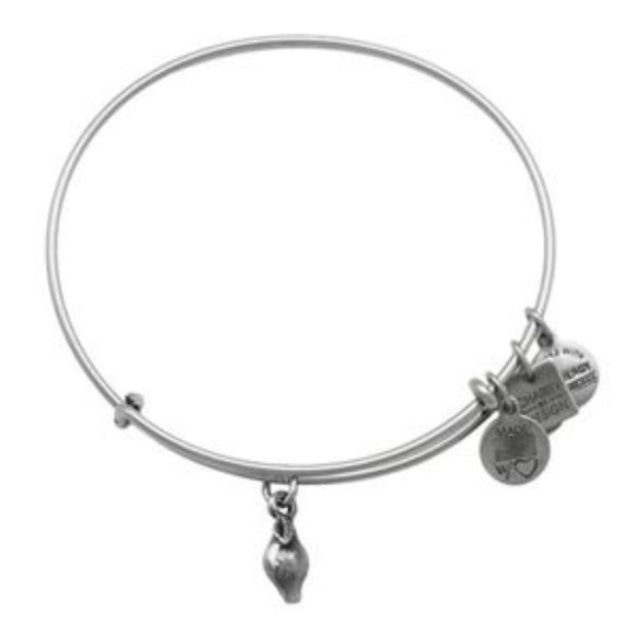 Alex and Ani | Silver Charm Bracelet | Zest For Life - Lemon - Picture 1 of 4
